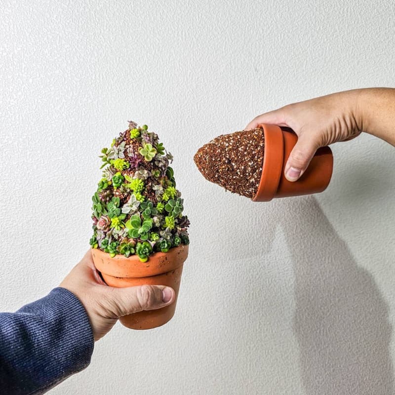 shaping-culture-soil-1-liter-03